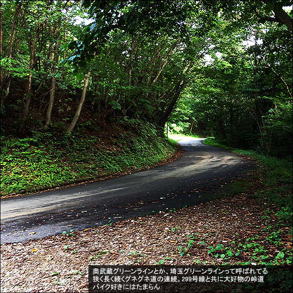 奥武蔵グリーンラインとか、埼玉グリーンラインって呼ばれてる狭く長く続くグネグネ道の連続。299号線と共に大好物の峠道。バイク好きにはたまらん