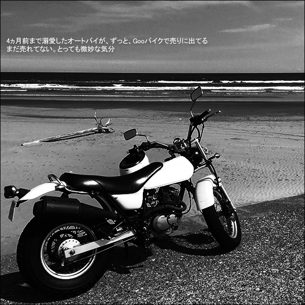 4ヵ月前まで溺愛したオートバイが、ずっと、Gooバイクで売りに出てる。まだ売れてない。とっても微妙な気分