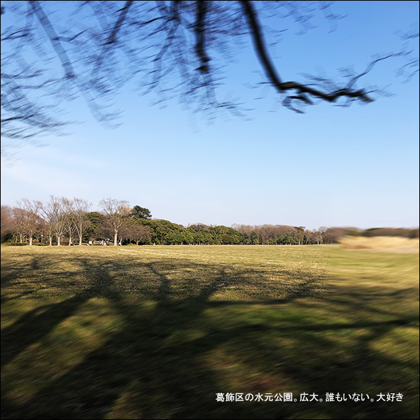 葛飾区の水元公園。広大。誰もいない。大好き