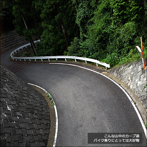 こんな山中のカーブ道。バイク乗りにとっては大好物