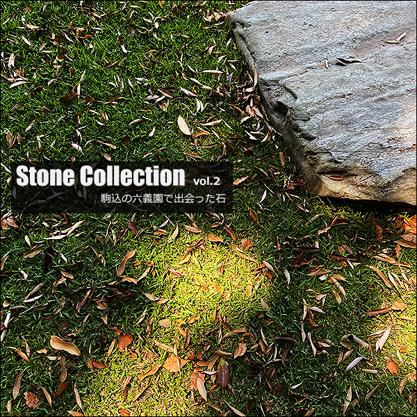 Stone Collection vol.1 駒込の六義園で出会った石