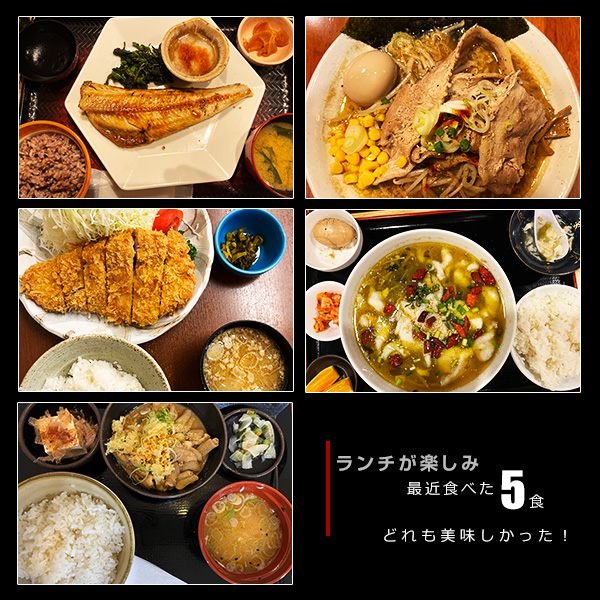 ランチが楽しみ。最近食べた5食。どれも美味しかった！