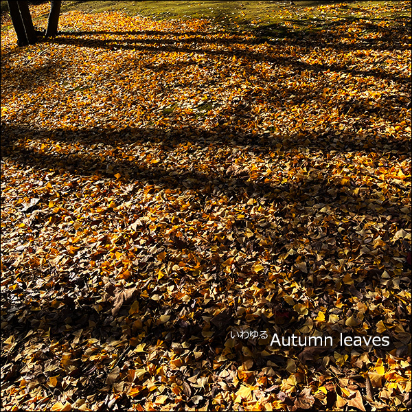 いわゆる Autumn leaves