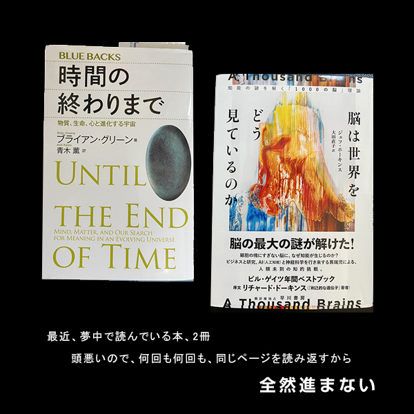 最近、夢中で読んでいる本、2冊。頭悪いので、何回も何回も、同じページを読み返すから、全然進まない