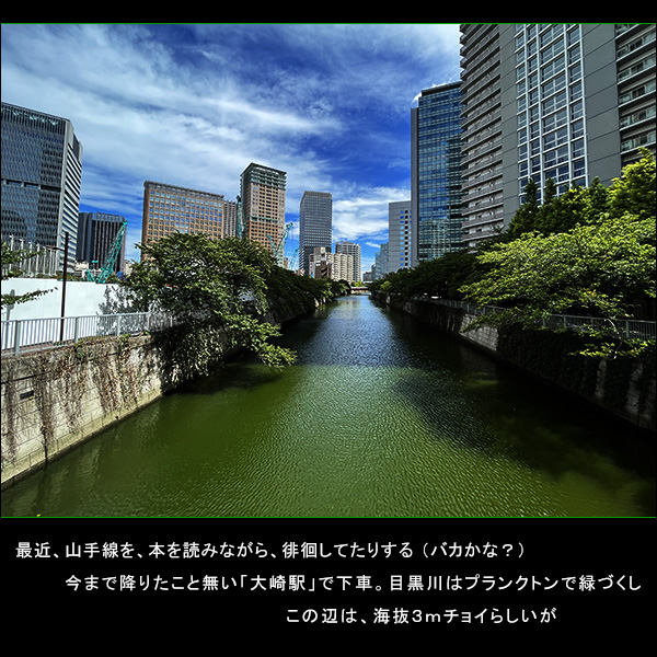 山手線を本を読みながら徘徊してたりする。大崎駅で下車。目黒川はプランクトンで緑づくし。この辺は海抜3ｍチョイらしいが