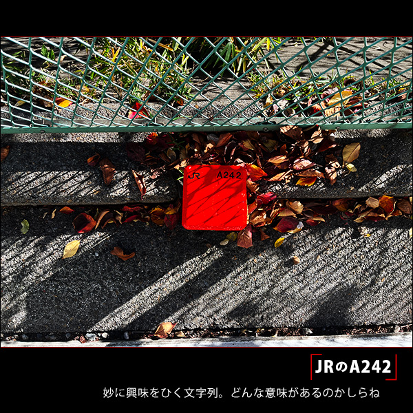 JRのA242。妙に興味をひく文字列。どんな意味があるのかしらね