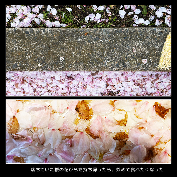 落ちていた桜の花びらを持ち帰ったら、炒めて食べたくなった