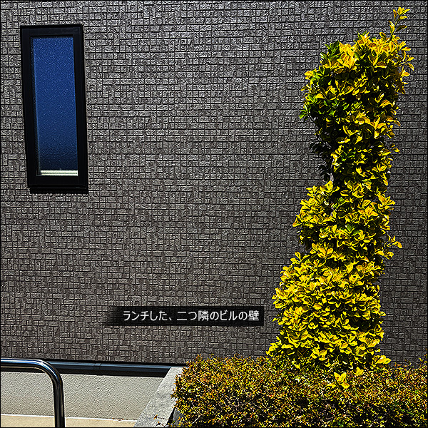 ランチした、二つ隣のビルの壁