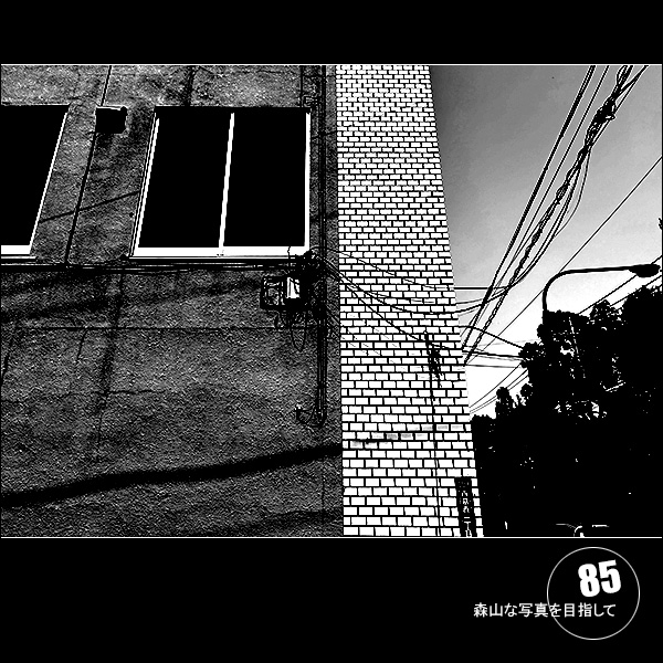 森山な写真を目指して Vol.85