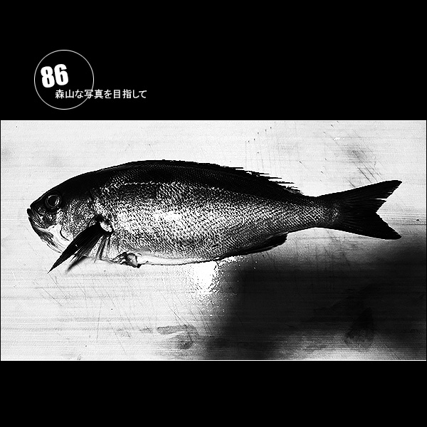 森山な写真を目指して Vol.86