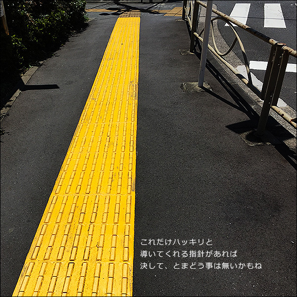 これだけハッキリと、導いてくれる指針があれば、決して、とまどう事は無いかもね
