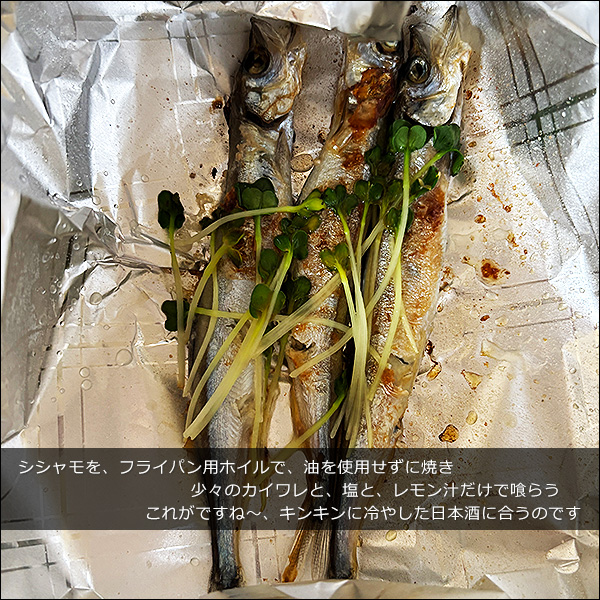 シシャモを、フライパン用ホイルで、油を使用せずに焼き。少々のカイワレと、塩と、レモン汁だけで喰らう。これがですね～、キンキンに冷やした日本酒に合うのです